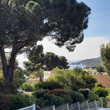 Studio Thalie بورم لي ميموزا المظهر الخارجي الصورة